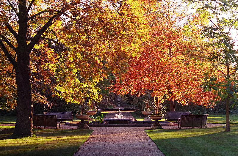 800px-oxford-botanic-garden-in-autumn-20