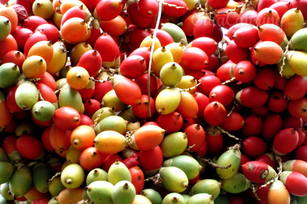 Las tendencias culinarias para este verano