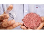 La hamburguesa de células madre más cara del mundo cuesta 250.000 euros