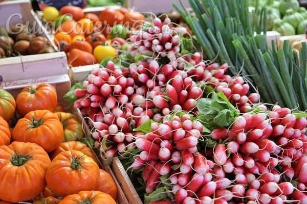 Alimentos saludables que debemos incluir en nuestra dieta