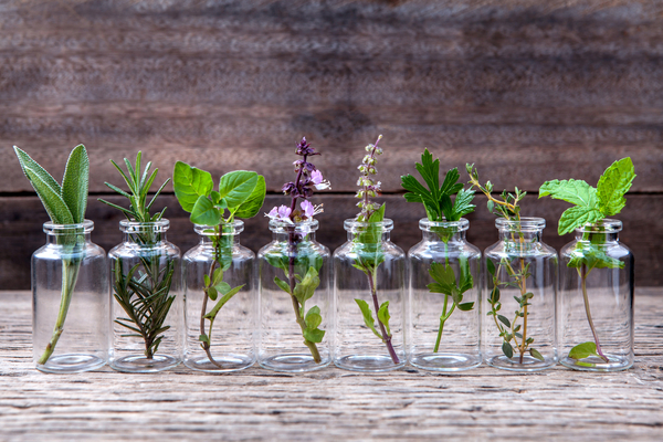 Plantas aromáticas que podemos cultivar en casa