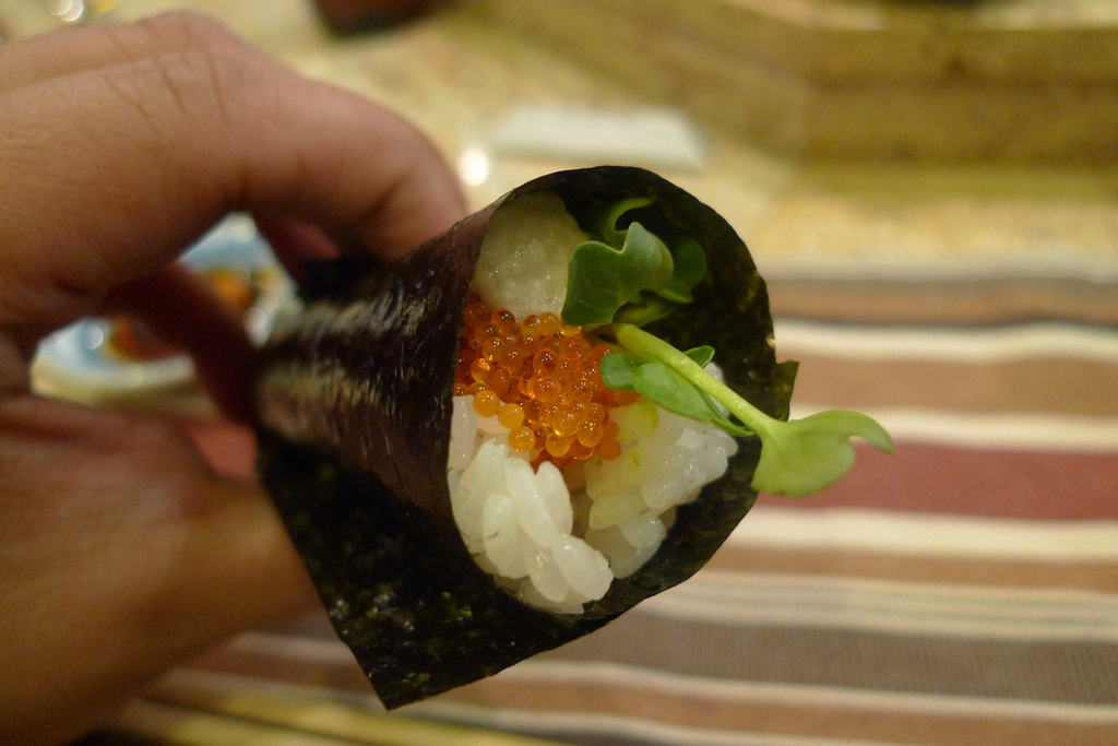 temaki.jpg