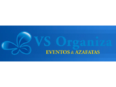 Logo Vs Organiza
