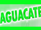 Grupo Musical Aguacate