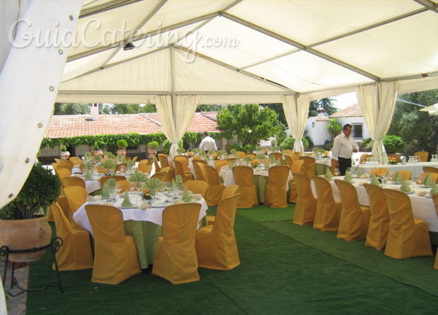 Carpas para evento