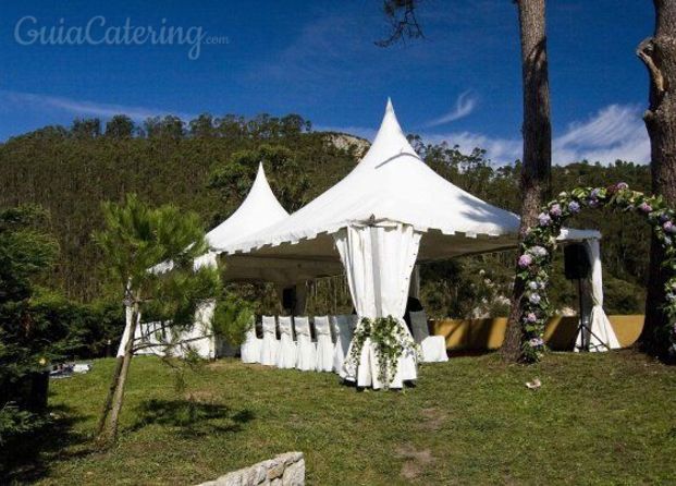 Carpa bodas