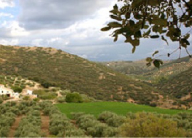 Cortijo Colomo