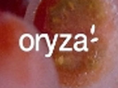 Restaurante Oryza