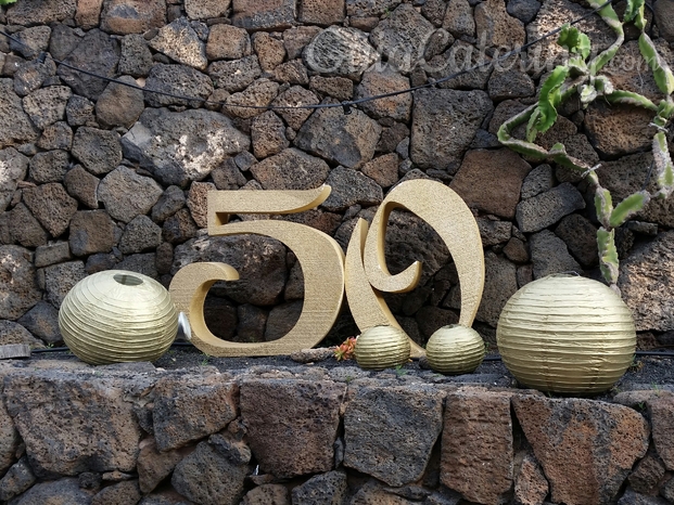 Conmemoración de los 50