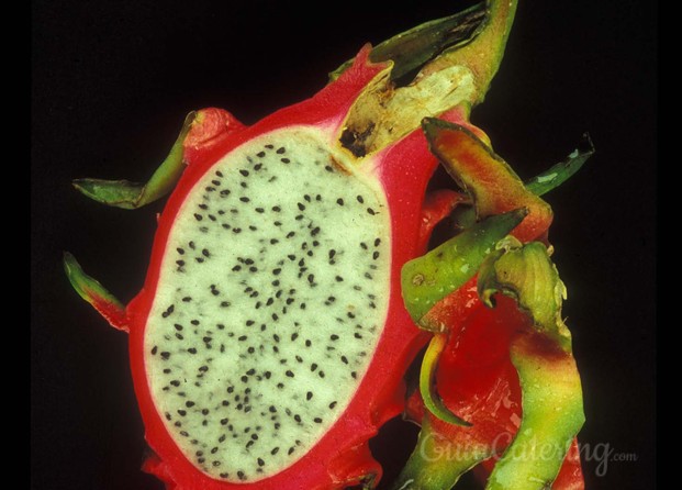 Red dragon fruit 