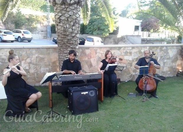 Música Express Bodas, Cuarteto Instrumental amenizando cocktail Boda Salones Paulino, Elda Petrer