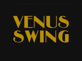 Grupo De Música Venus Swing