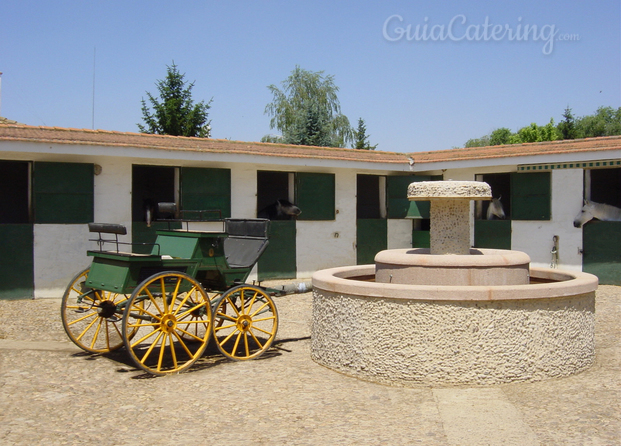 Patio de caballos