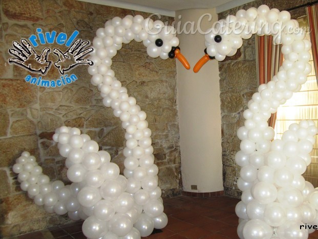 Cisnes de globos Rivel