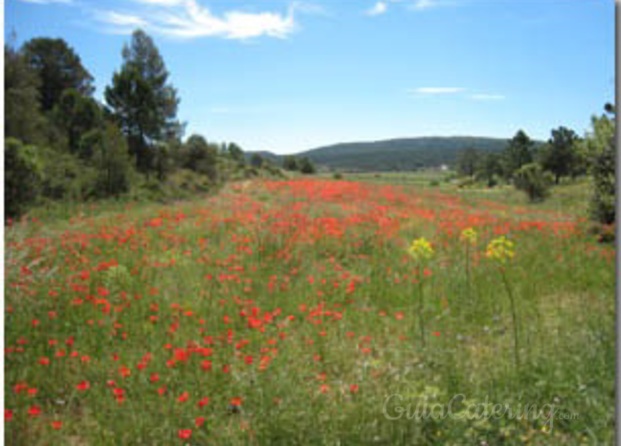 Masia Bocairent