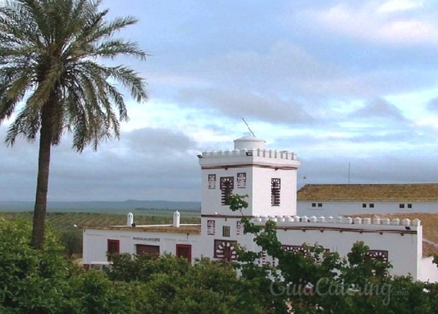 sanfelipe6