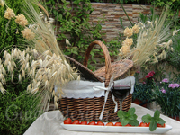 Campiña