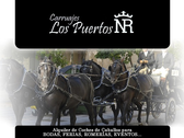 Carruajes De Caballos Jerez De La Frontera Y Cadiz