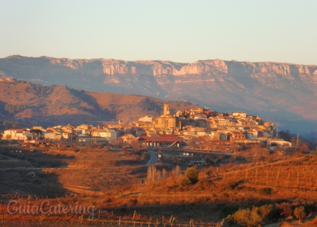 Gratallops (DOQ Priorat)