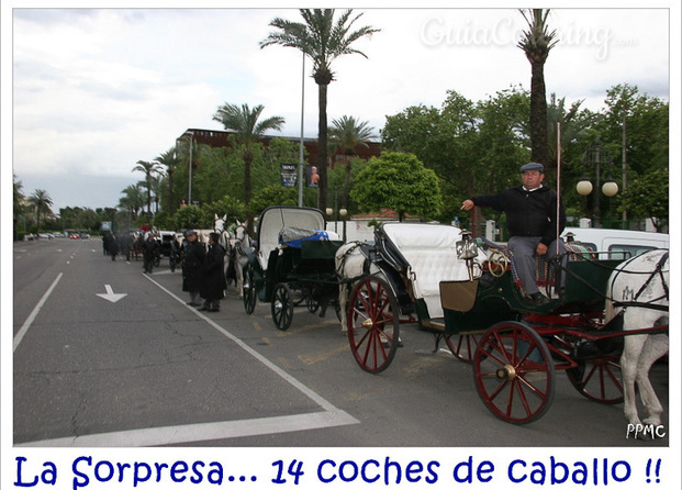 Paseos por Córdoba en coches de caballos con guías