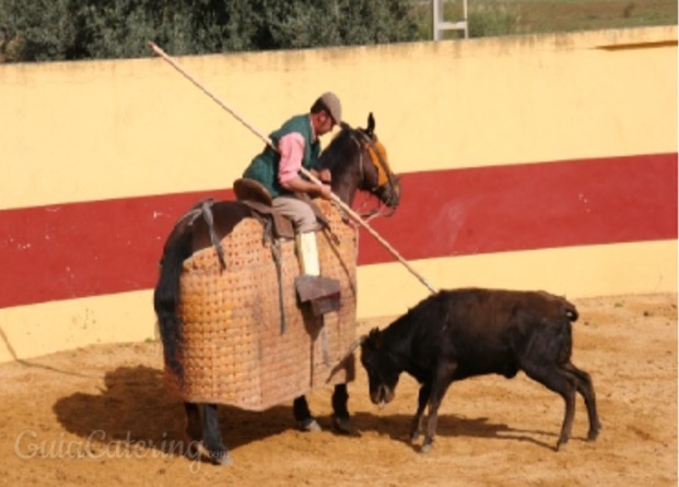 cortijo de arenales3