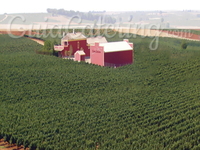 Bodega Carril Cruzado