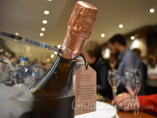 Presentació noves anyades del celler Costers del Sió