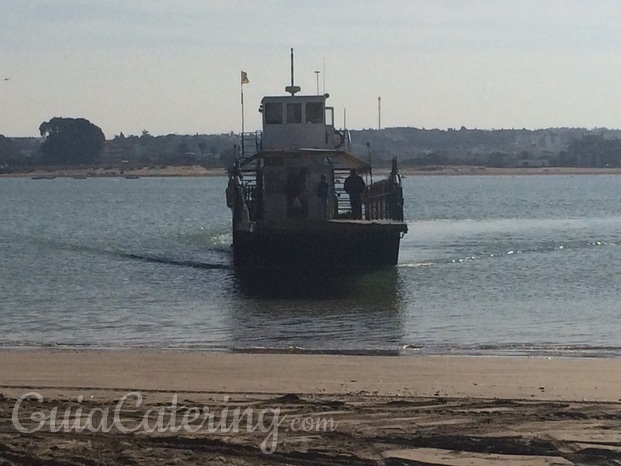 Visitas a Doñana y Sanlúcar de Barrameda