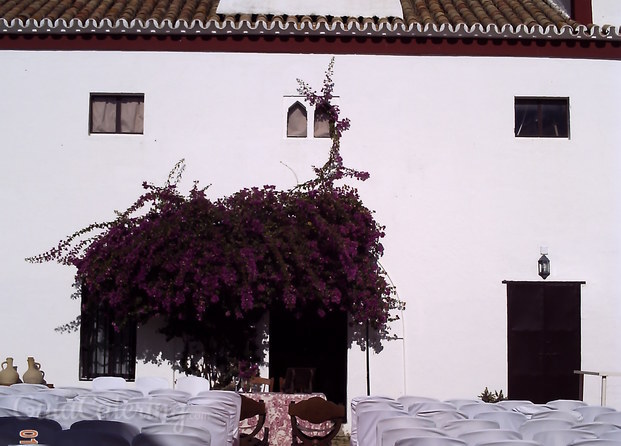 Cortijo Sevilla Bodas