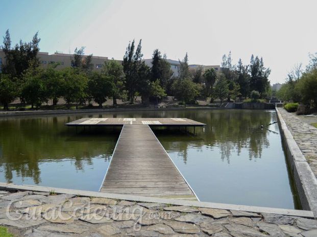 terraza al lago