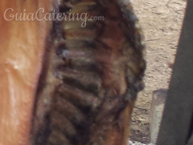 20140426_140325.jpg